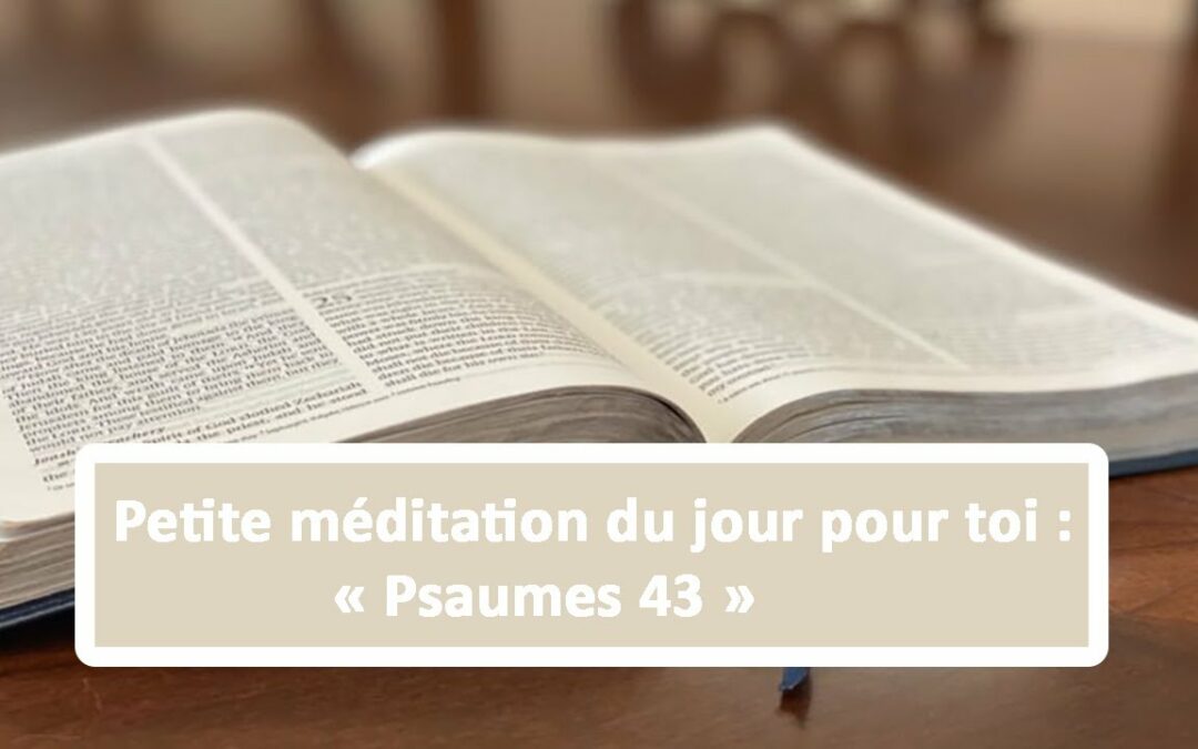 Petite méditation du jour pour toi : Psaumes 43 (11.06.21)