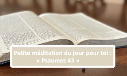 Petite méditation du jour pour toi : Psaumes 43 (11.06.21)