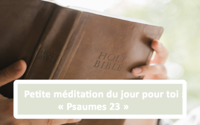 Petite méditation du jour pour toi : Psaumes 23 (18.06.21)