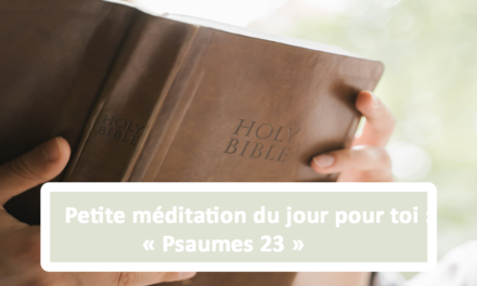 Petite méditation du jour pour toi : Psaumes 23 (18.06.21)