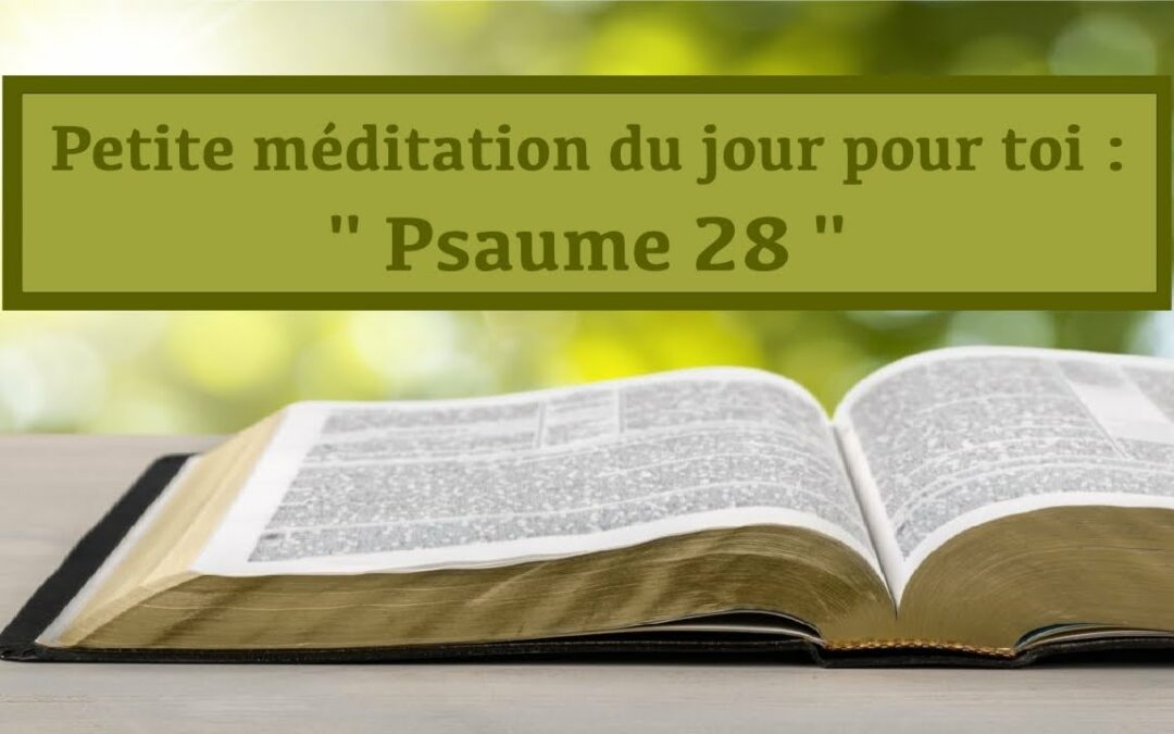 Petite méditation du jour pour toi : Psaume 28 (18.11.21)