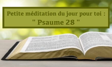 Petite méditation du jour pour toi : Psaume 28 (18.11.21)