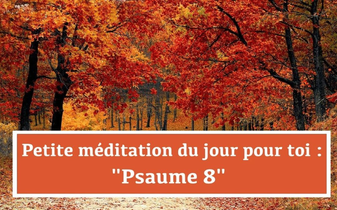 Petite méditation du jour pour toi : Psaume 8 (25.12.21)