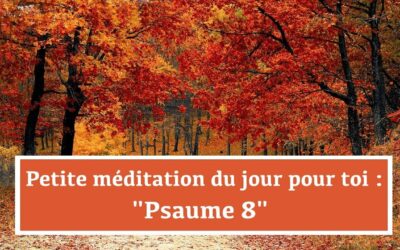 Petite méditation du jour pour toi : Psaume 8 (25.12.21)