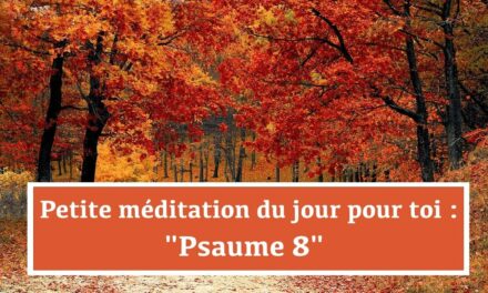 Petite méditation du jour pour toi : Psaume 8 (25.12.21)